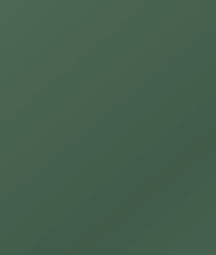 Golden Buzzaround CarryOn HD