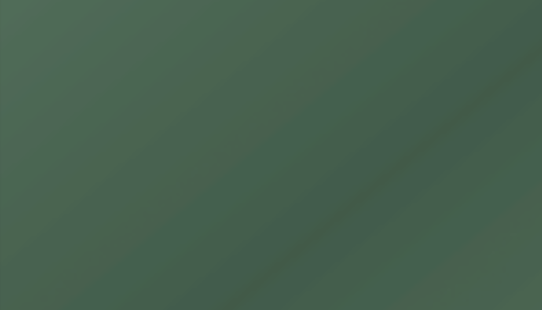 Golden Buzzaround CarryOn HD