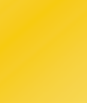 Golden Buzzaround CarryOn HD