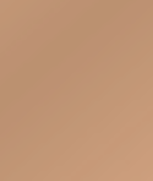 Golden Buzzaround CarryOn HD