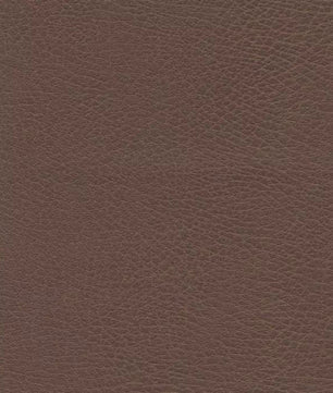 Golden PR766 EZ Sleeper Lift Chair fabric swatch in Earth faux leather