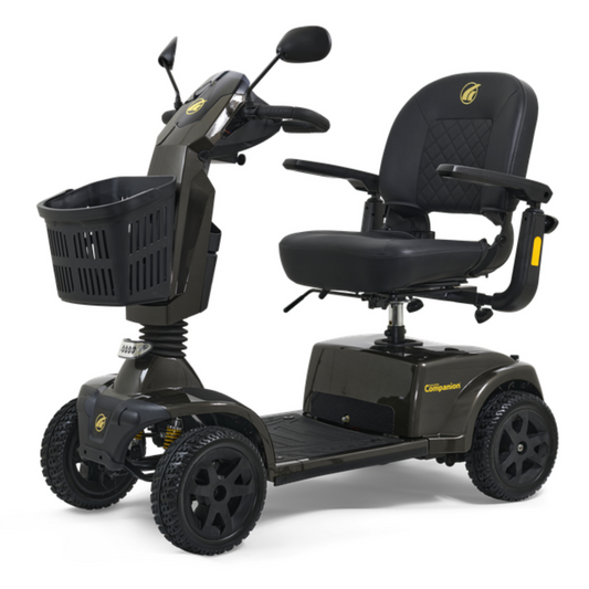 Galactic Grey Golden Companion 4-wheel Full Size Scooter