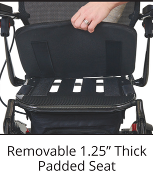 Golden Cricket removable seat cushion