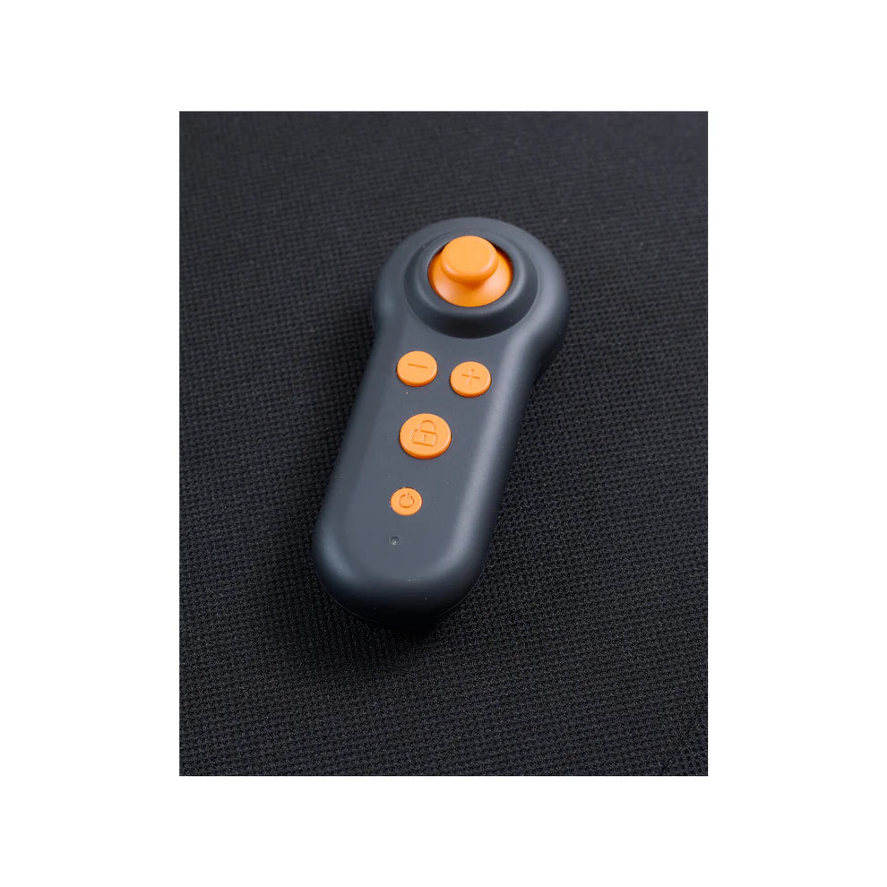 Golden Ally Pro – Wireless Remote